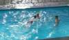 2014HWK 049_small.jpg
